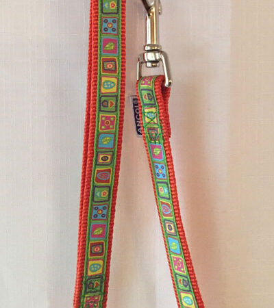 Multicoloured Square Lead 100cm 50kg