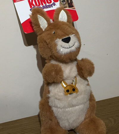 Shakers Passport’s Kangaroo