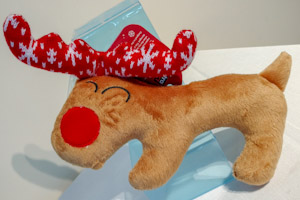 Rudolf Dog Toy