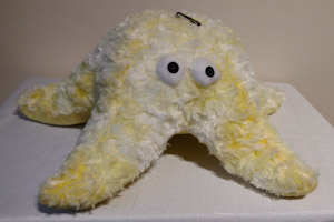 Yellow starfish soft toy with big eyes.