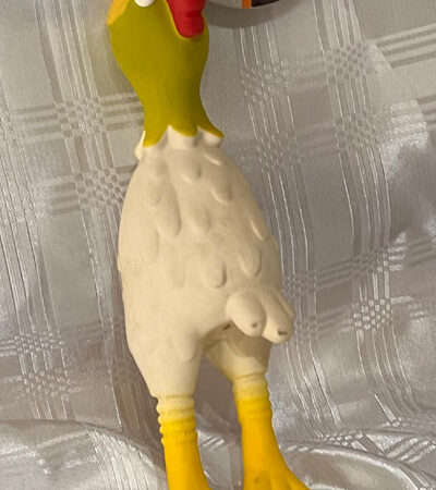 Latex Squeaky Chicken (Small)