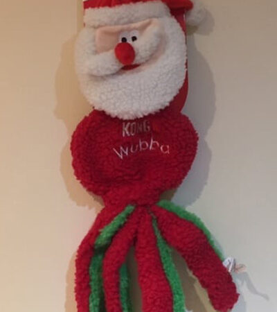 Christmas Wubba Flatz Santa Large