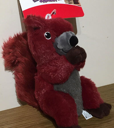 Shakers Passport’s Red Squirrel