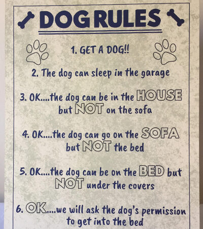 ‘Dog Rules’ Sign