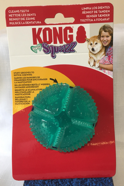 kong squeezz dental