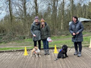 A group of two dogs and their owners at an outdoor dog training class.