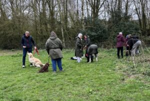 A group of fourdogs and their owners at an outdoor dog training class.