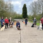 A group of six dogs and their owners at an outdoor dog training class.