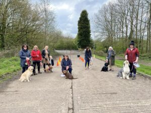 A group of six dogs and their owners at an outdoor dog training class.