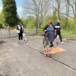 A group of three dogs and their owners at an outdoor dog training class.