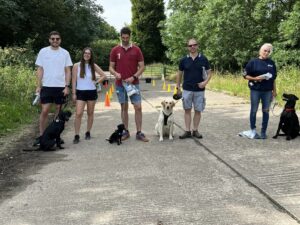 a group of four dogs and their owners at a dog training class