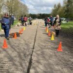 A group of dogs and their owners walking in between a line of cones at an outdoor dog training class.