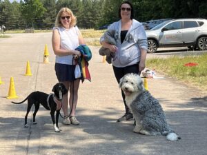 A group of two dogs and their owners at an outdoor dog training class.