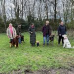 A group of four dogs and their owners at an outdoor dog training class.