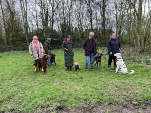 A group of four dogs and their owners at an outdoor dog training class.