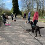 A group of six dogs and their owners at an outdoor dog training class.