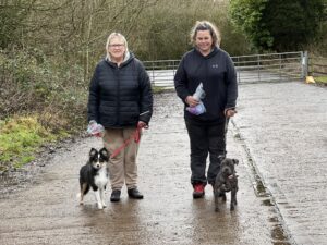 A group of two puppies and their owners at a puppy socialisation class.