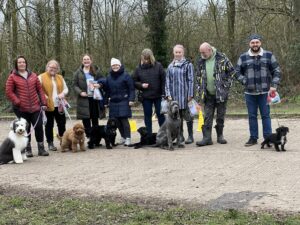 A group of six puppies and their owners at a puppy socialisation class.